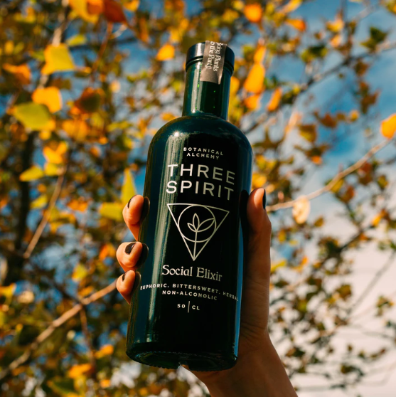 Exclusive Review of Three Spirits Social Elixir