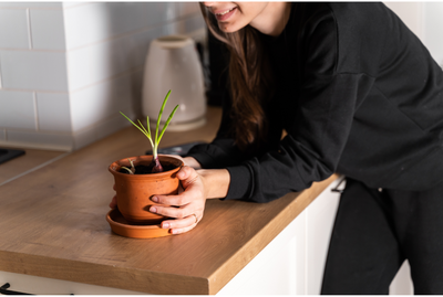 Creating a Sustainable Alcohol-free Lifestyle: Tips and Strategies