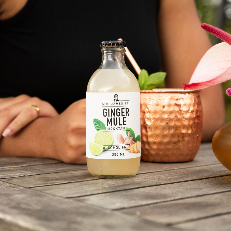 Ginger Rhodes Sir. James 101 Alcohol-Free Ginger Mule | 6-pack – Better Rhodes