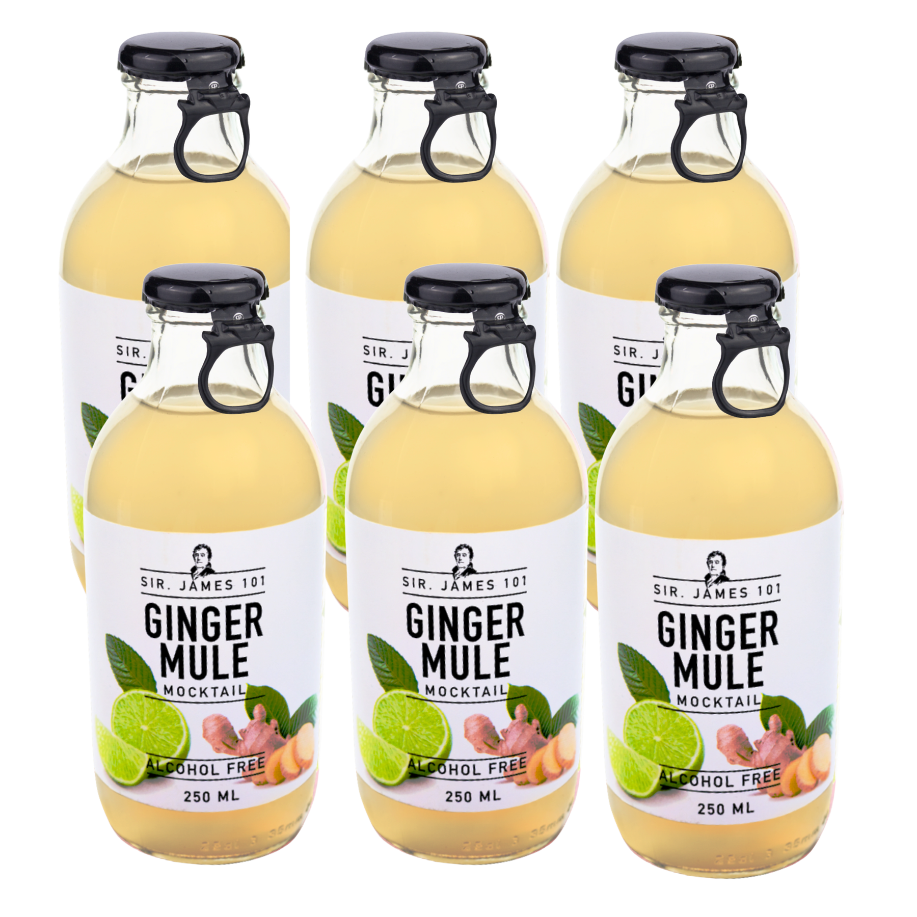 Ginger Rhodes Sir. James 101 Alcohol-Free Ginger Mule | 6-pack – Better Rhodes