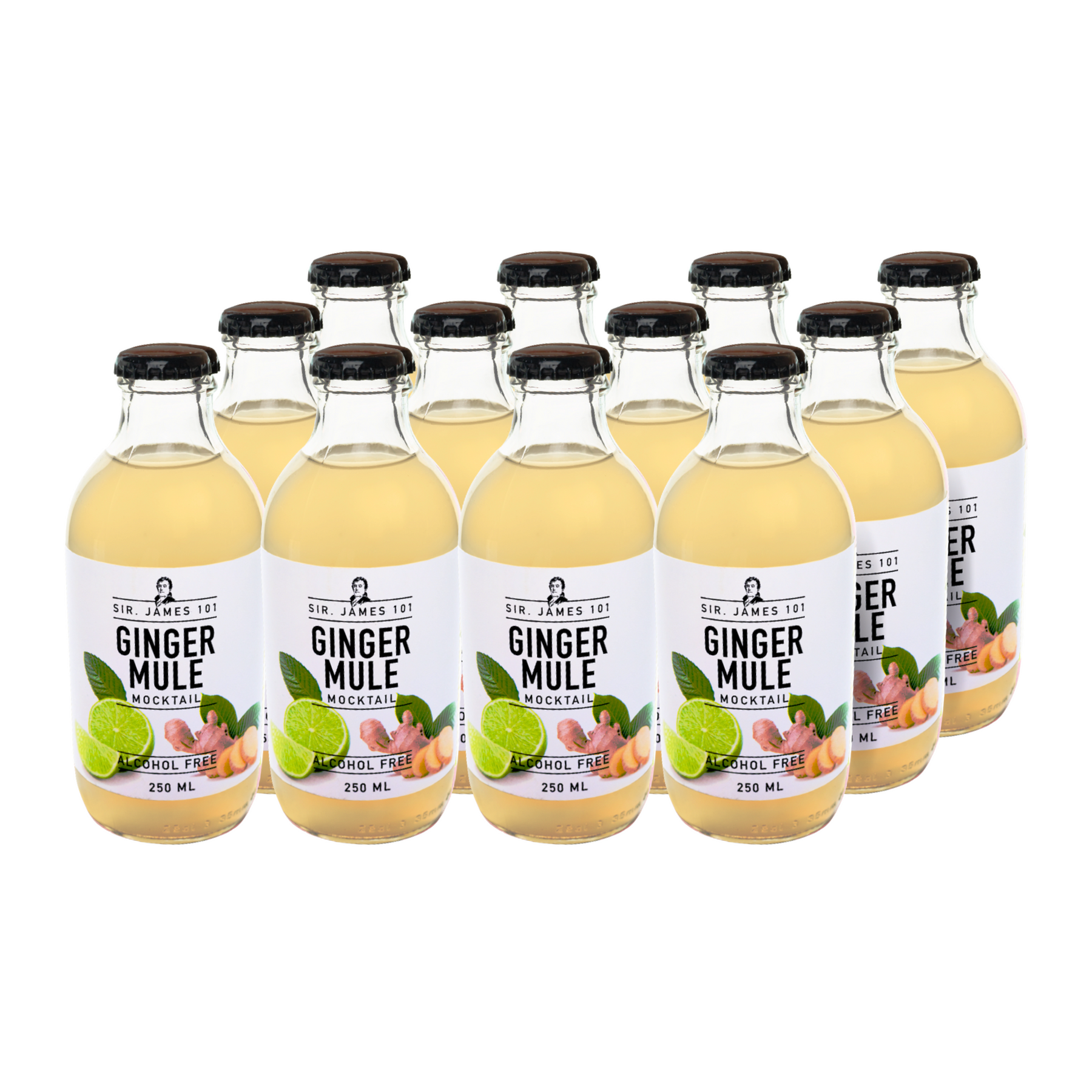 Sir. James 101 Ginger Mule | 12 Bottle Party Pack – Better Rhodes