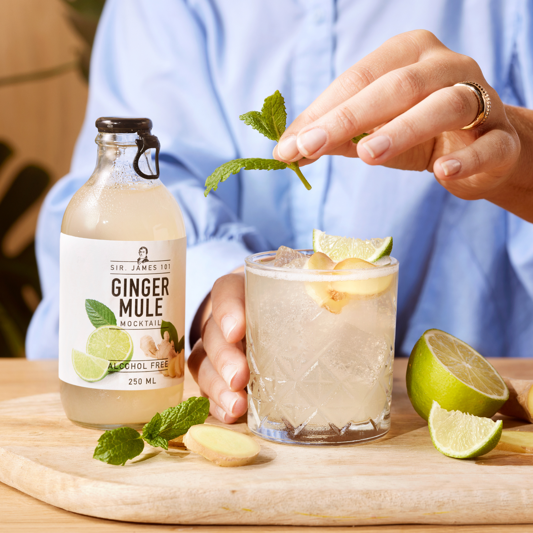 Ginger Rhodes Sir. James 101 Alcohol-Free Ginger Mule | 12 Bottle Party Pack – Better ...